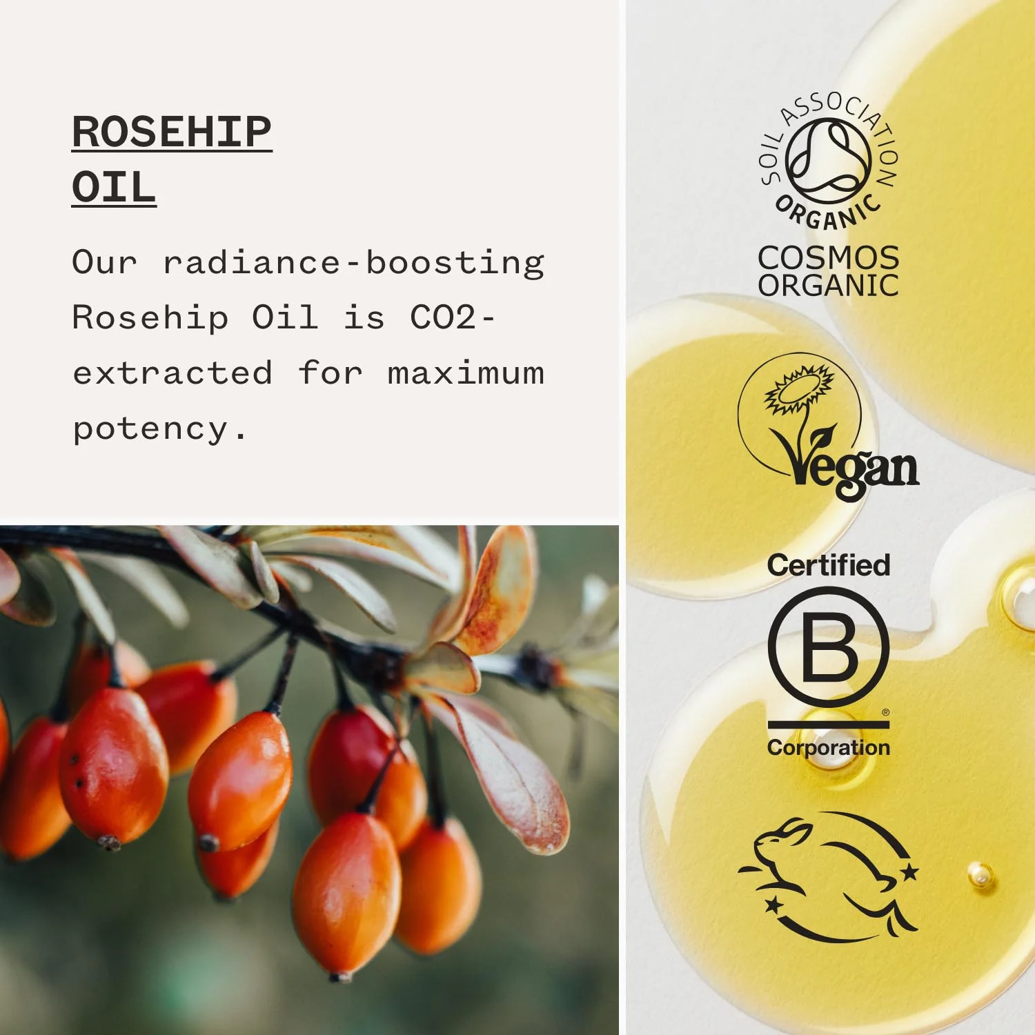 Light Work™ Cleansing Oil - Image 7