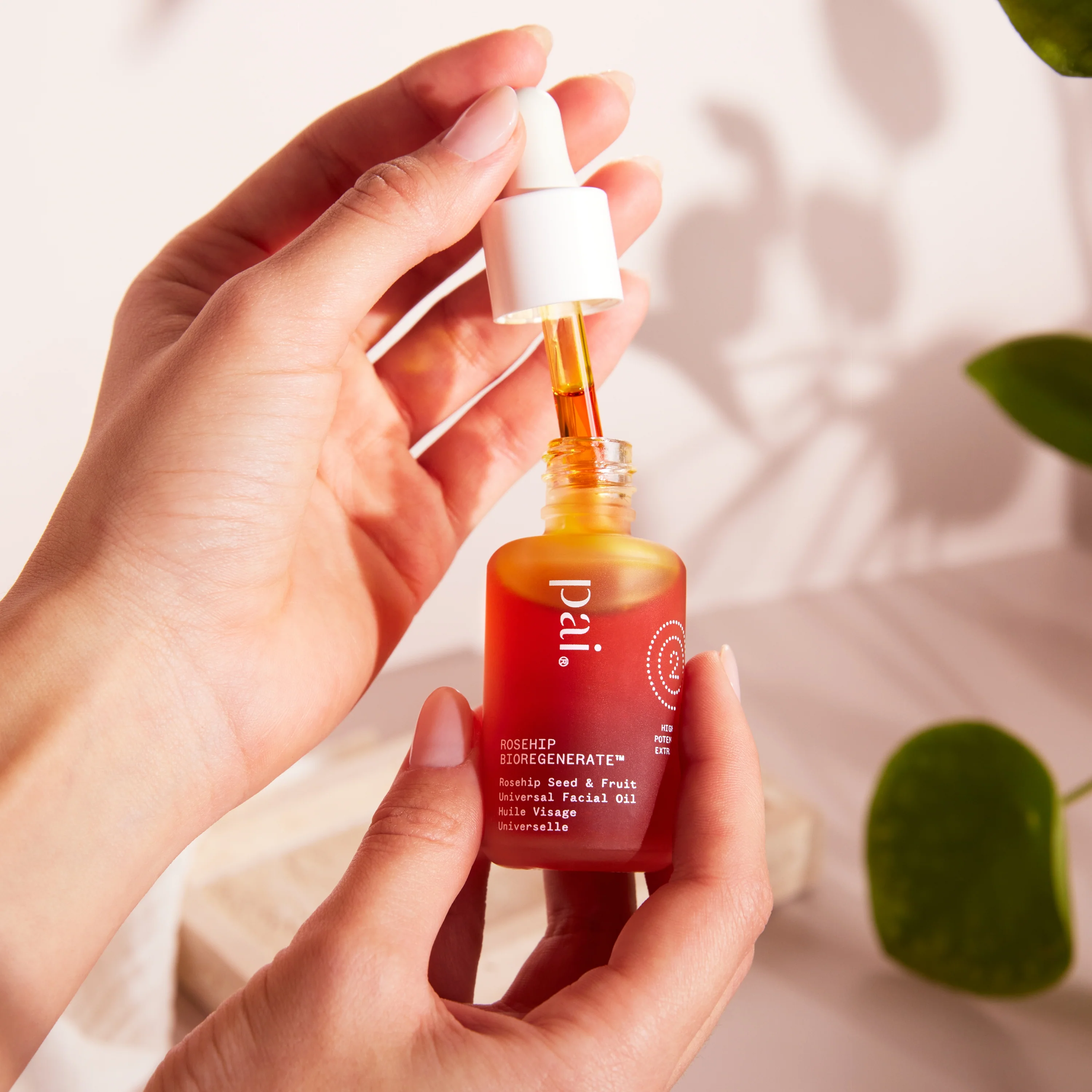 Rosehip Bioregenerate™ Face Oil - Image 8
